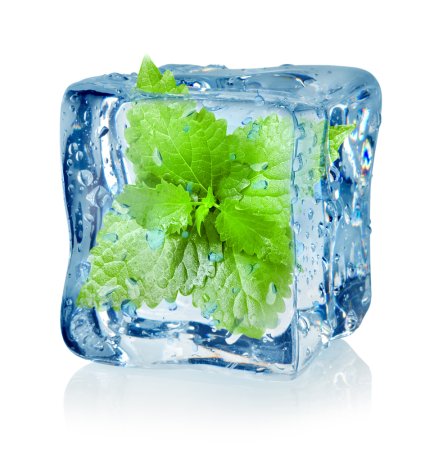 Aroma Cool Mint